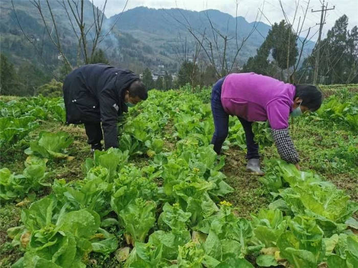 用心戰“疫” 助力防疫一線